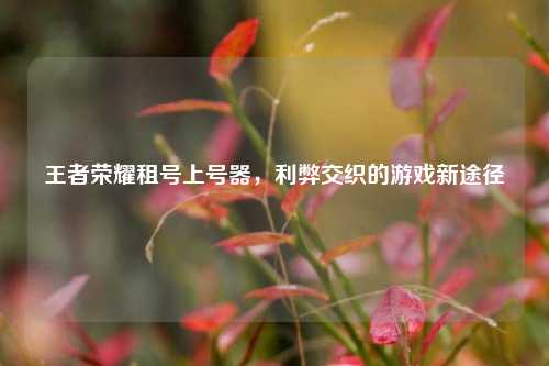 王者荣耀租号上号器，利弊交织的游戏新途径