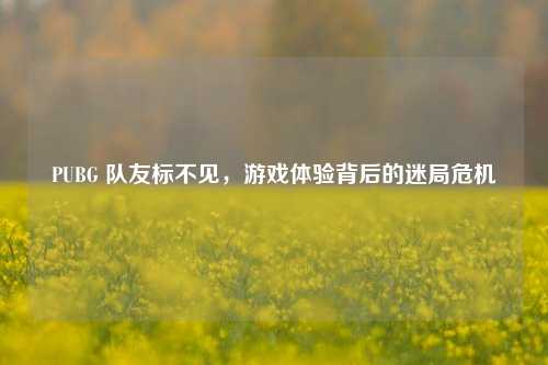PUBG 队友标不见,游戏体验背后的迷局危机
