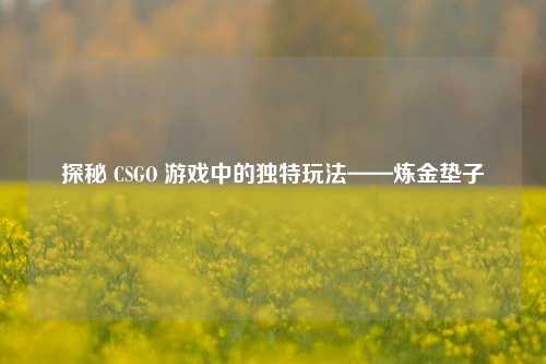 探秘 CSGO 游戏中的独特玩法——炼金垫子