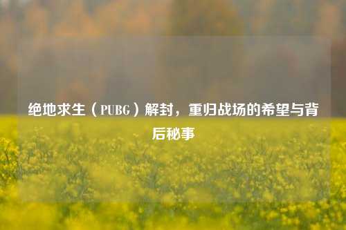绝地求生（PUBG）解封，重归战场的希望与背后秘事
