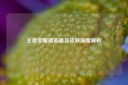 王者荣耀镜英雄及皮肤深度解析
