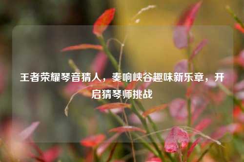 王者荣耀琴音猜人，奏响峡谷趣味新乐章，开启猜琴师挑战