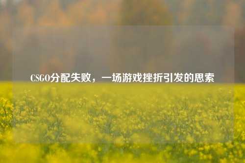 CSGO分配失败,一场游戏挫折引发的思索