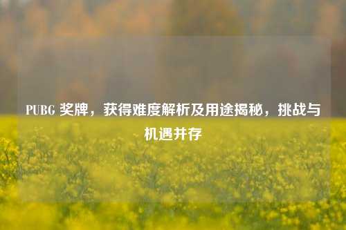 PUBG 奖牌，获得难度解析及用途揭秘，挑战与机遇并存
