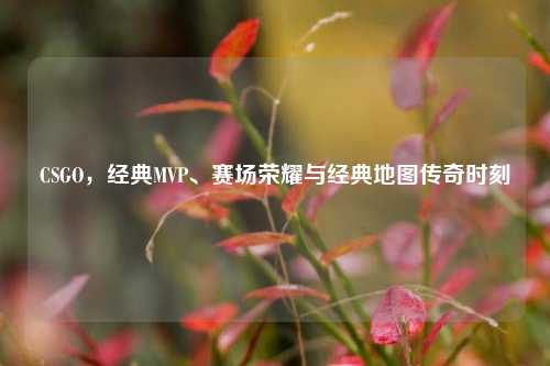 CSGO,经典MVP、赛场荣耀与经典地图传奇时刻