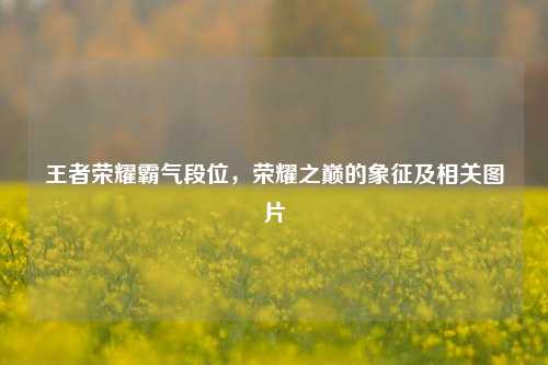 王者荣耀霸气段位,荣耀之巅的象征及相关图片