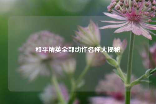 和平精英全部动作名称大揭秘