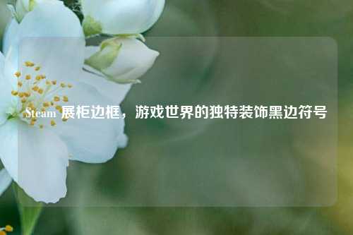 Steam 展柜边框,游戏世界的独特装饰黑边符号