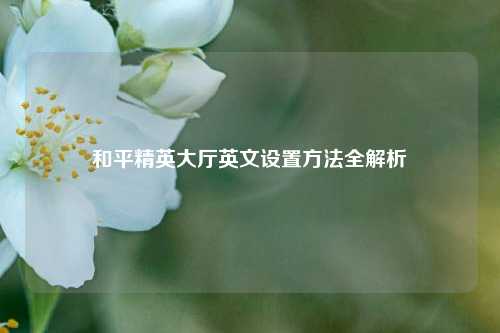 和平精英大厅英文设置方法全解析