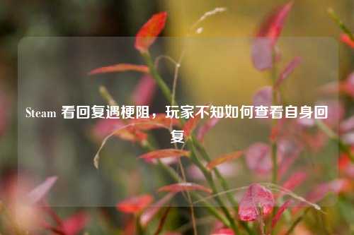 Steam 看回复遇梗阻,玩家不知如何查看自身回复