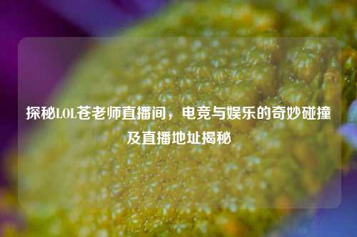 探秘LOL苍老师直播间,电竞与娱乐的奇妙碰撞及直播地址揭秘
