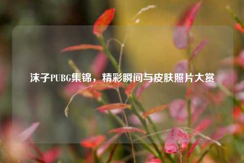 沫子PUBG集锦,精彩瞬间与皮肤照片大赏
