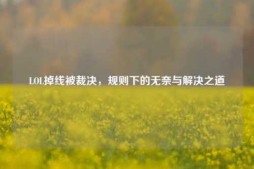 LOL掉线被裁决,规则下的无奈与解决之道