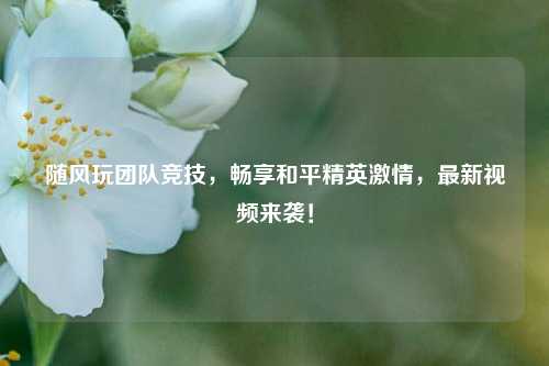 随风玩团队竞技,畅享和平精英激情,最新视频来袭!