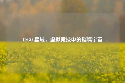 CSGO 星域,虚拟竞技中的璀璨宇宙