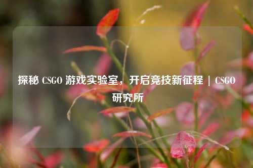 探秘 CSGO 游戏实验室,开启竞技新征程 | CSGO 研究所