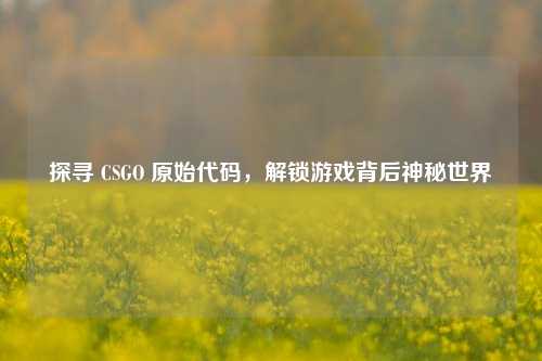 探寻 CSGO 原始代码,解锁游戏背后神秘世界