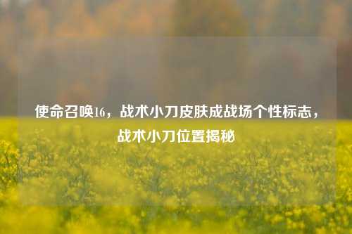 使命召唤16,战术小刀皮肤成战场个性标志,战术小刀位置揭秘