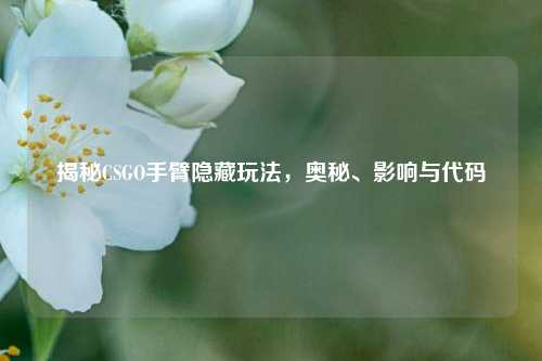揭秘CSGO手臂隐藏玩法,奥秘、影响与代码