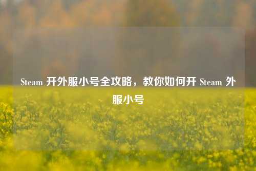 Steam 开外服小号全攻略,教你如何开 Steam 外服小号