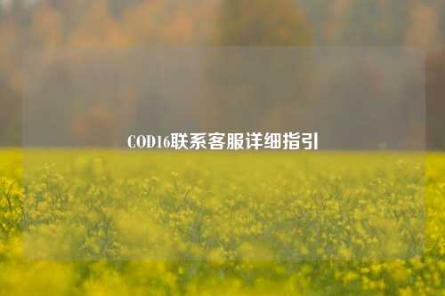 COD16联系客服详细指引