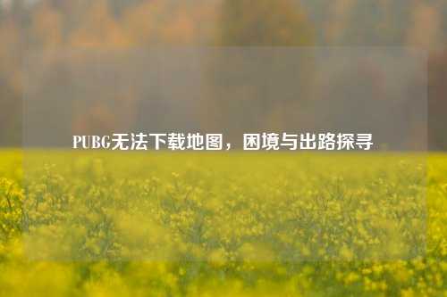 PUBG无法下载地图,困境与出路探寻