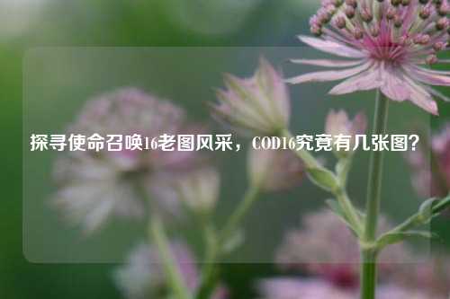 探寻使命召唤16老图风采,COD16究竟有几张图?
