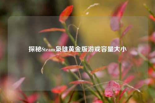 探秘Steam枭雄黄金版游戏容量大小