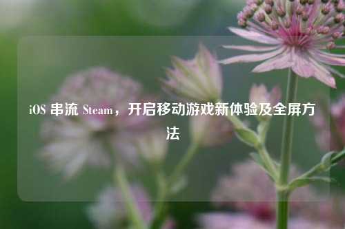 iOS 串流 Steam,开启移动游戏新体验及全屏方法