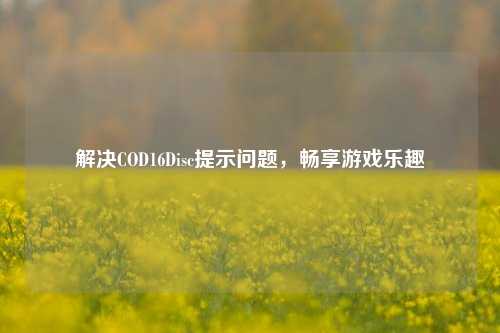 解决COD16Disc提示问题,畅享游戏乐趣
