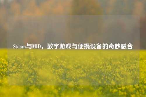 Steam与MID,数字游戏与便携设备的奇妙融合
