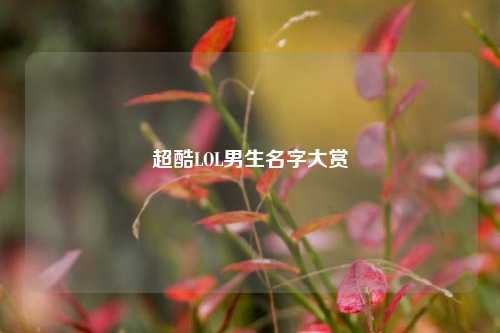 超酷LOL男生名字大赏