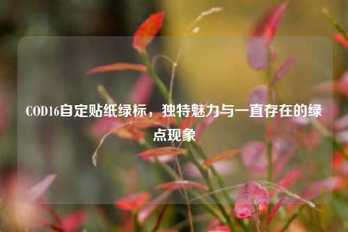 COD16自定贴纸绿标,独特魅力与一直存在的绿点现象