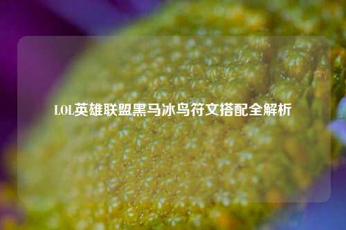 LOL英雄联盟黑马冰鸟符文搭配全解析