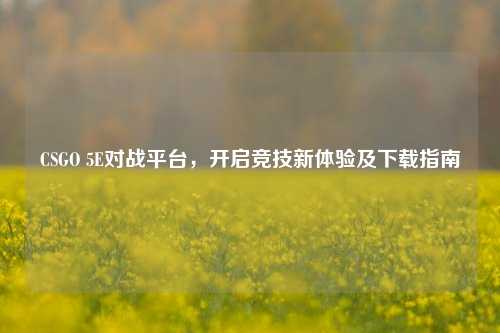 CSGO 5E对战平台,开启竞技新体验及下载指南