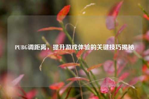 PUBG调距离,提升游戏体验的关键技巧揭秘
