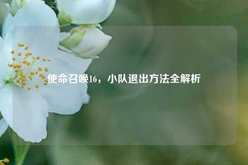 使命召唤16,小队退出方法全解析