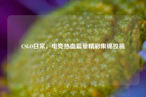 CSGO日常,电竞热血篇章精彩集锦投稿