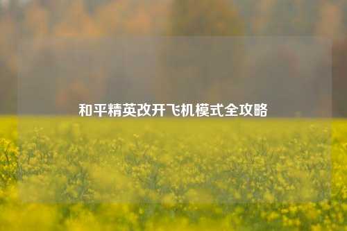 和平精英改开飞机模式全攻略