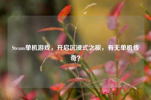 Steam单机游戏,开启沉浸式之旅,有无单机传奇?