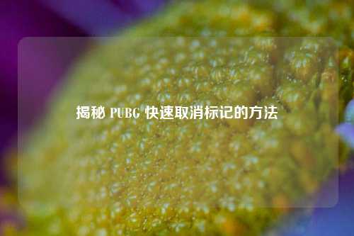 揭秘 PUBG 快速取消标记的方法