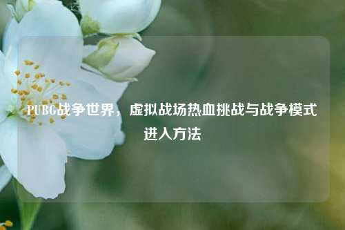 PUBG战争世界，虚拟战场热血挑战与战争模式进入方法