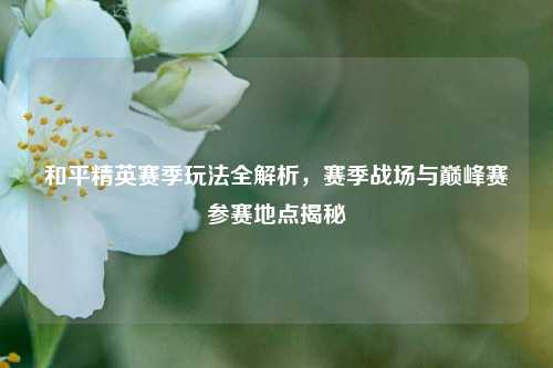 和平精英赛季玩法全解析,赛季战场与巅峰赛参赛地点揭秘