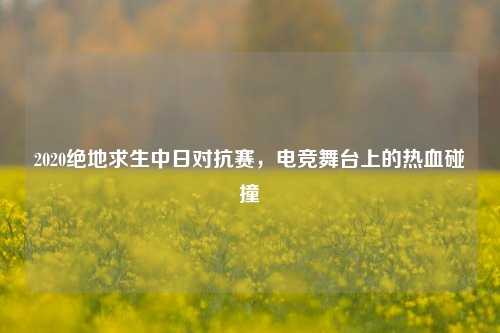 2020绝地求生中日对抗赛,电竞舞台上的热血碰撞