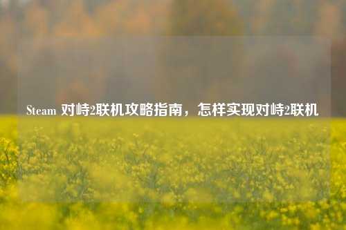 Steam 对峙2联机攻略指南,怎样实现对峙2联机