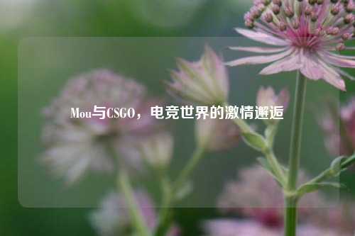 Mou与CSGO,电竞世界的激情邂逅