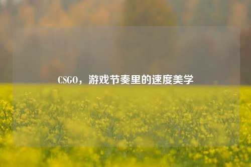 CSGO,游戏节奏里的速度美学