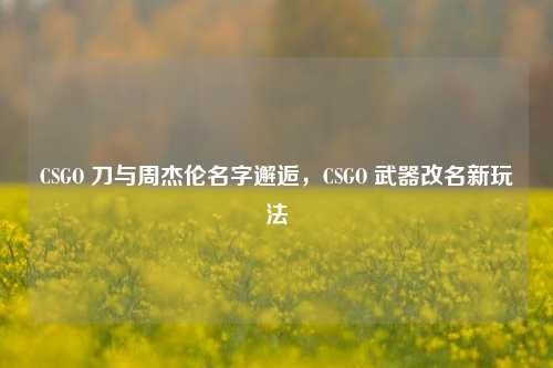 CSGO 刀与周杰伦名字邂逅,CSGO 武器改名新玩法