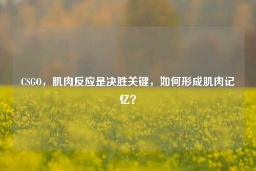 CSGO，肌肉反应是决胜关键，如何形成肌肉记忆？