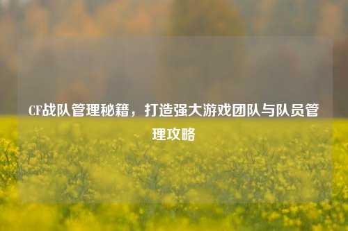 CF战队管理秘籍,打造强大游戏团队与队员管理攻略